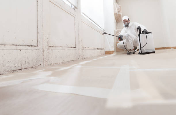 24/7 Emergency Basement Mold Remediation experts in Fulton, NY